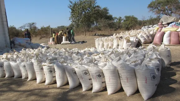 Zambian Farmers Deliver Over 6,000 Metric Tons of Maize Under Early Maize Programme