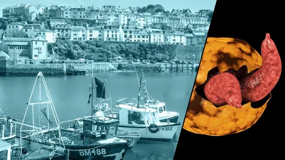 Cryptosporidium Outbreak in Brixham, Devon Leads to Boil Water Notice for 16,000 Households