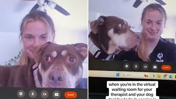 Virginia Woman's Rescue Dog Becomes TikTok Sensation by Interrupting Therapy Sessions