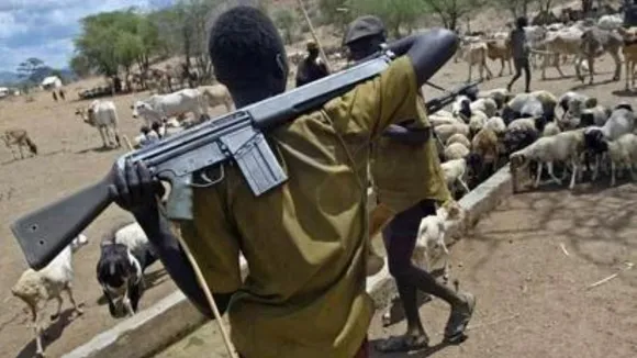 Deadly Herdsmen Attacks Claim 28 Lives in Gwer West, Benue State