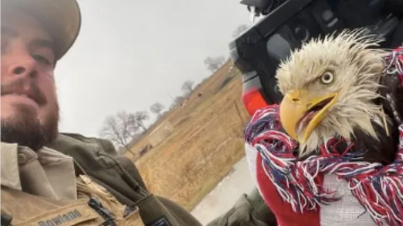 Bald Eaglets Rescued in Oklahoma After Storm Destroys Nest