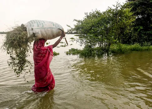 Assam Flood Crisis: Over 24.5 Lakh People Affected, Government Intensifies Relief Efforts