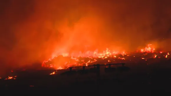 Record-Breaking Fires Consume Brazil's Pantanal Wetland, Threatening Unique Ecosystem