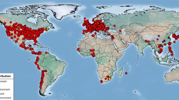 Avian Flu Outbreak Leads to Egg Price Surge and Consumer Stockpiling in U.S.