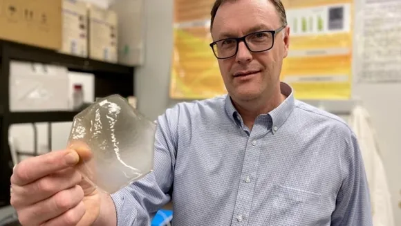 University of Saskatchewan Develops Biodegradable Faba Bean Film to Replace Plastic Wrap