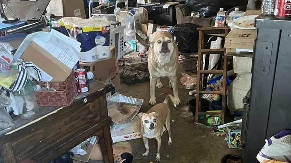 Columbiana County Humane Society Seizes Animals from Deplorable Conditions, Seeks Help