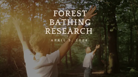 Forest Bathing: Reconnecting with Nature for Wellbeing