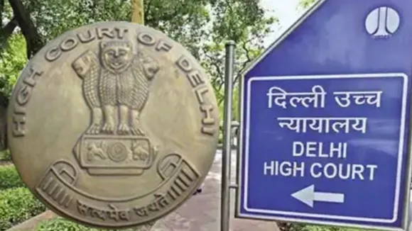 Delhi High Court Seeks Expansion of Infrastructure as Lawyers' Association Files Plea