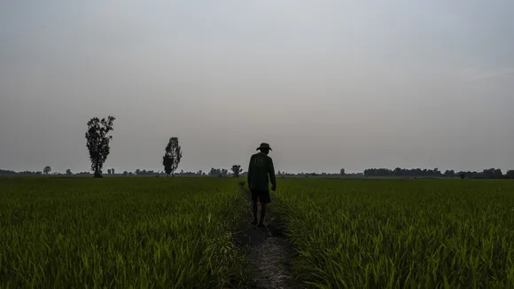 Vietnamese Farmers Adopt Climate-Smart Practices to Cut Methane Emissions from Rice Cultivation