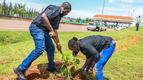 IIA-U and UNRA Partner to Plant 5,000 Trees Along Entebbe Expressway to Combat Climate Change