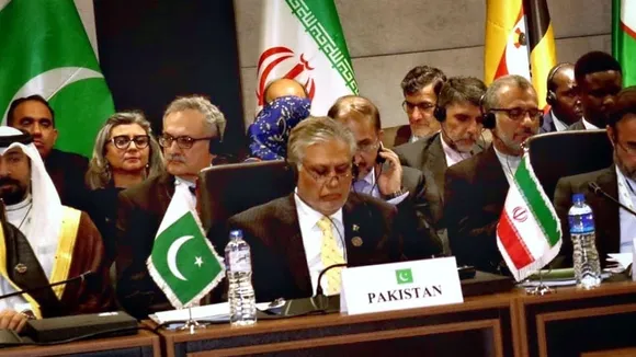 Pakistan Urges Joint Action Against Islamophobia at OIC Summit in Banjul
