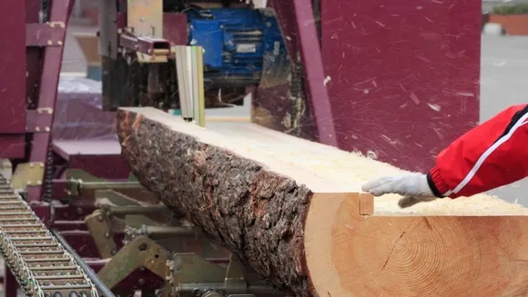 New Zealand Sees Surge in Demand for Pruned Logs Amid China Slump
