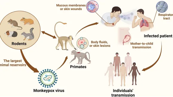 WHO: Monkeypox Can Spread Through Direct Contact and Airborne Transmission