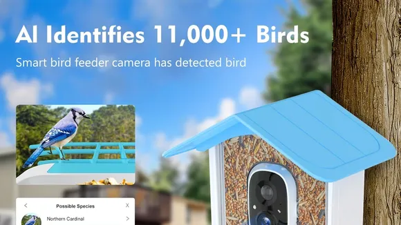Smart Bird Feeders Bring High-Tech Birdwatching to Your Backyard