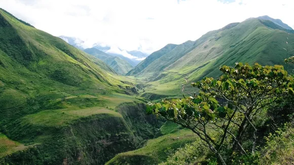 Ecuador and New Zealand Pioneer Legal Rights for Nature