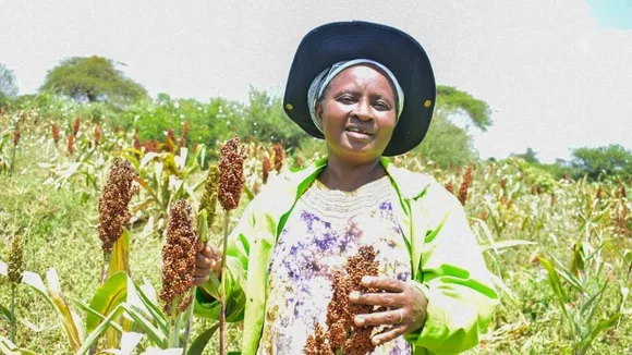 Kenyan Farmer Phoebe Mwangangi Champions Climate-Smart Techniques for Food Security