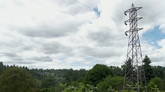 Portland Resident Survives Electrocution and 40-Foot Fall from Powerline Tower