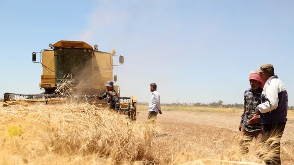 Autonomous Administration in Syria Faces Protests Over Wheat Purchase Price