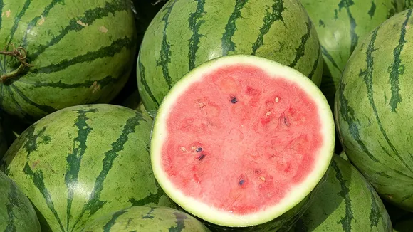 Abnormal Weather in South Korea Causes Watermelon Prices to Skyrocket