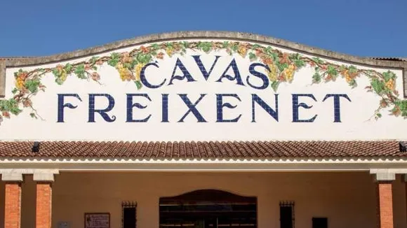 Freixenet to Lay Off 80% of Workforce Amid Worst Drought on Record  in Catalonia