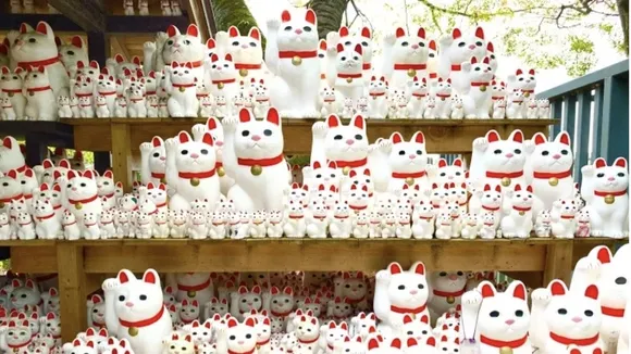 Tokyo's Gotokuji Temple Urges Tourists to Respect Sacred 'Beckoning Cat' Figurines