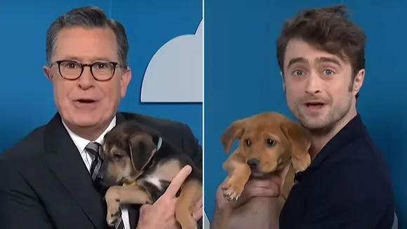 Daniel Radcliffe Promotes Dog Adoption with Harry Potter Jokes on 'The Late Show'