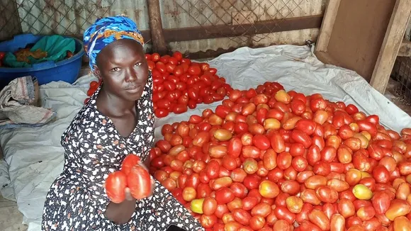 South Sudan Symposium Showcases ITC Project's Impact on Fruit and Vegetable Sector