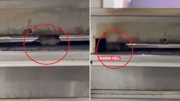 Rat Allegedly Spotted in Pizza Oven at Mumbai Domino's Outlet, Sparking Calls for Action