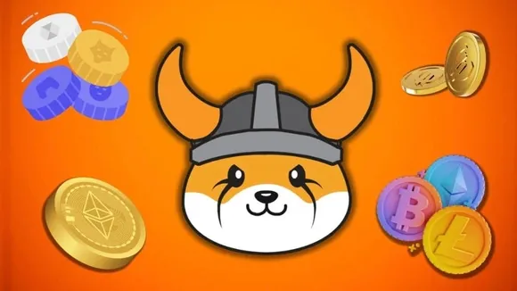 Floki Meme Coin Shifts Focus to Utility Products Amid Concerns Over Fundamentals