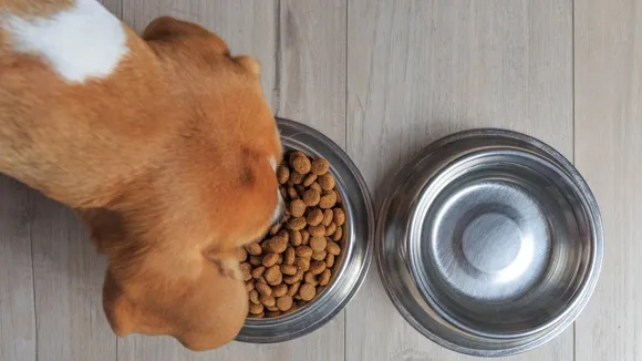 Mars Petcare US Recalls 315 Bags of PEDIGREE Dog Food Due to Metal Contamination