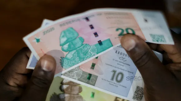 Long Queues as Banks Await New Zimbabwe Gold Currency