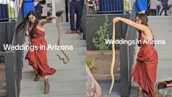Bridesmaid Catches Snake at Arizona Wedding, Credits Steve Irwin