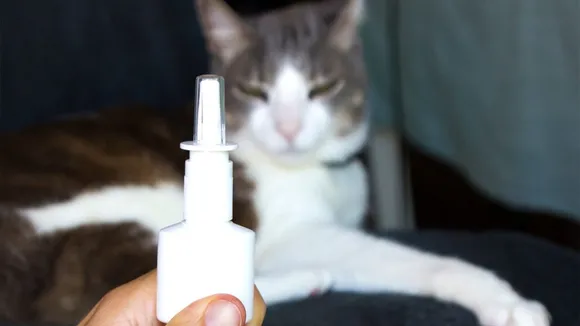 Cat Allergy Sprays: Reducing Allergens with Varying Effectiveness