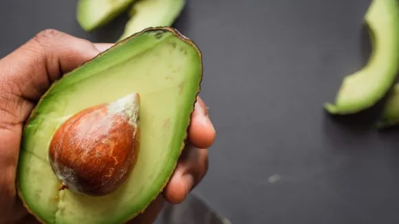 Researchers Develop Sustainable Packaging from Avocado Pruning Residues