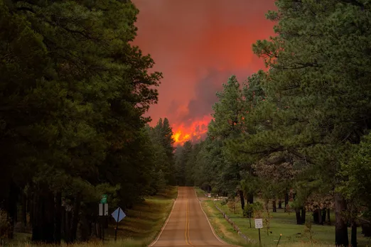 Wildfire Devastates Ruidoso: Over 500 Structures Destroyed, 20,000 Acres of Land Consumed