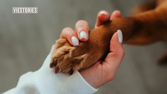 Pet Care Brands in India
