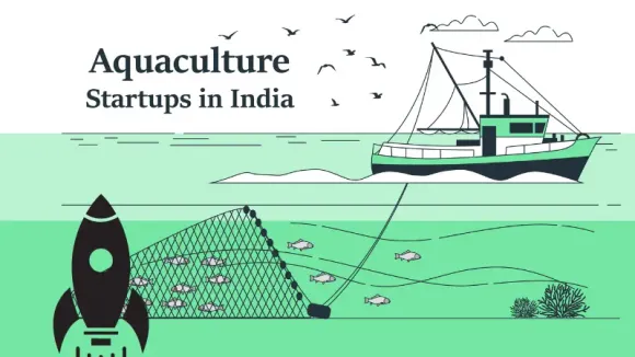 Top 10 Aquaculture Startups in India