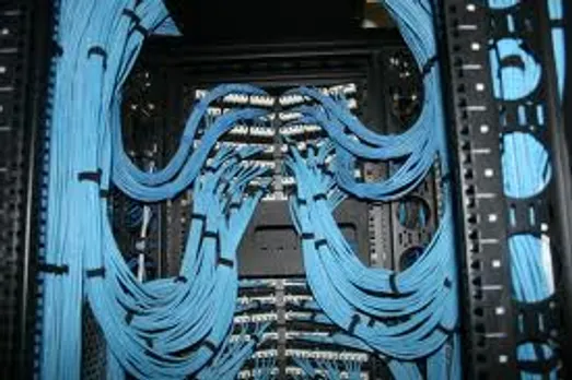 Cat 6 to rule