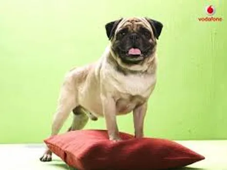Mascot pug re-enters to promote Vodafone’s 4G SuperNet