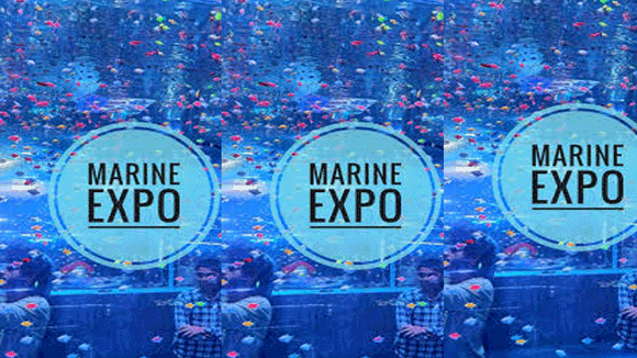 marine expo