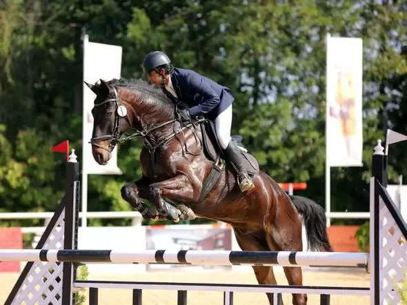 equstrian asian games 