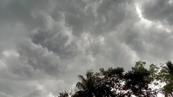 Weather Update: আবহাওয়ার দুর্যোগ লক্ষ্মীপুজো পর্যন্ত! বৃষ্টির সঙ্গে বাড়বে  দক্ষিণ-পূর্ব হাওয়ার দাপট | Weather report of Kolkata, West Bengal for 17  October, 2021 in Bengali ...