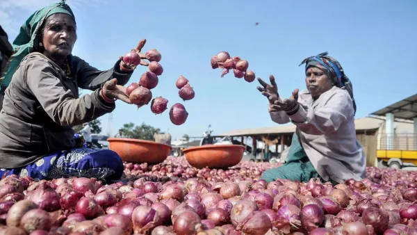 women in nashik onion farming