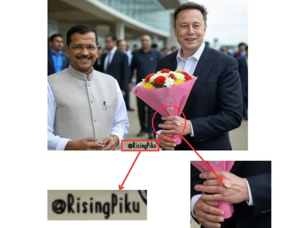 elonmuskai