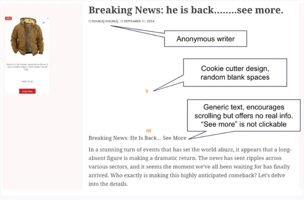 A screenshot of a news article

Description automatically generated