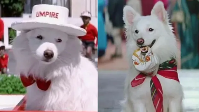 hum aapke hain kaun