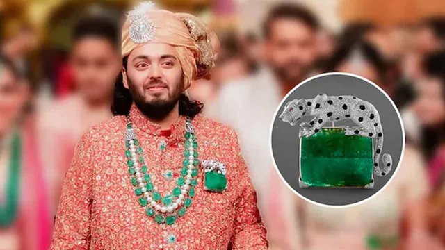 Anant Bhai Ambani Wears His Passion for Animals on his Wedding Jacket -Promoting the cause of Animal Rescue and Protection