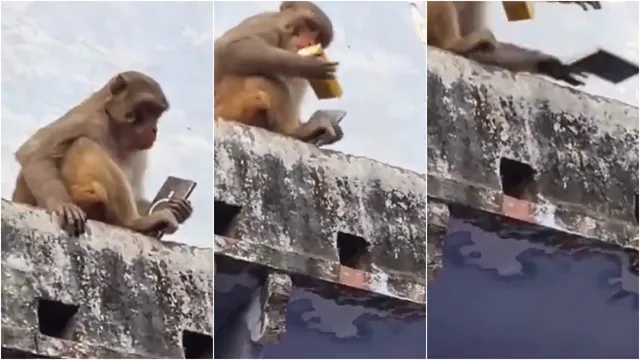 Viral Video: నీ ఫోన్‌ నీకు కావాలంటే..నాకు కావాల్సింది ఇచ్చేయ్‌!