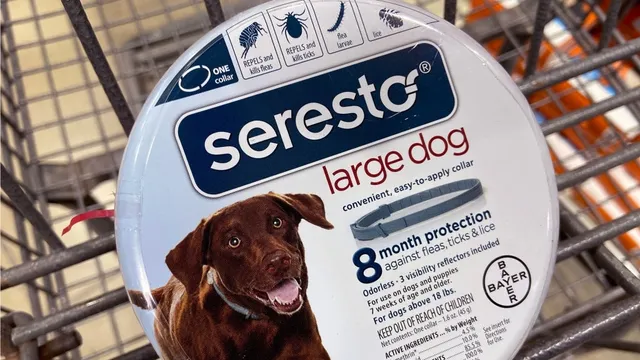 EPA Watchdog Criticizes Seresto Collar Safety Review Amid Over