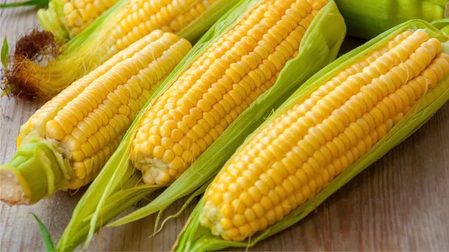 Benefits of Corn: Nutritional Powerhouse